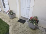 Jardin 2026-03-28 (1)